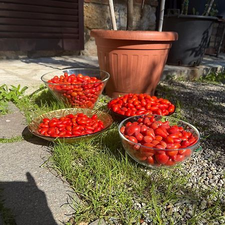 سان جيمينيانو Bed & Breakfast Casale Gregoriano And Apartaments المظهر الخارجي الصورة