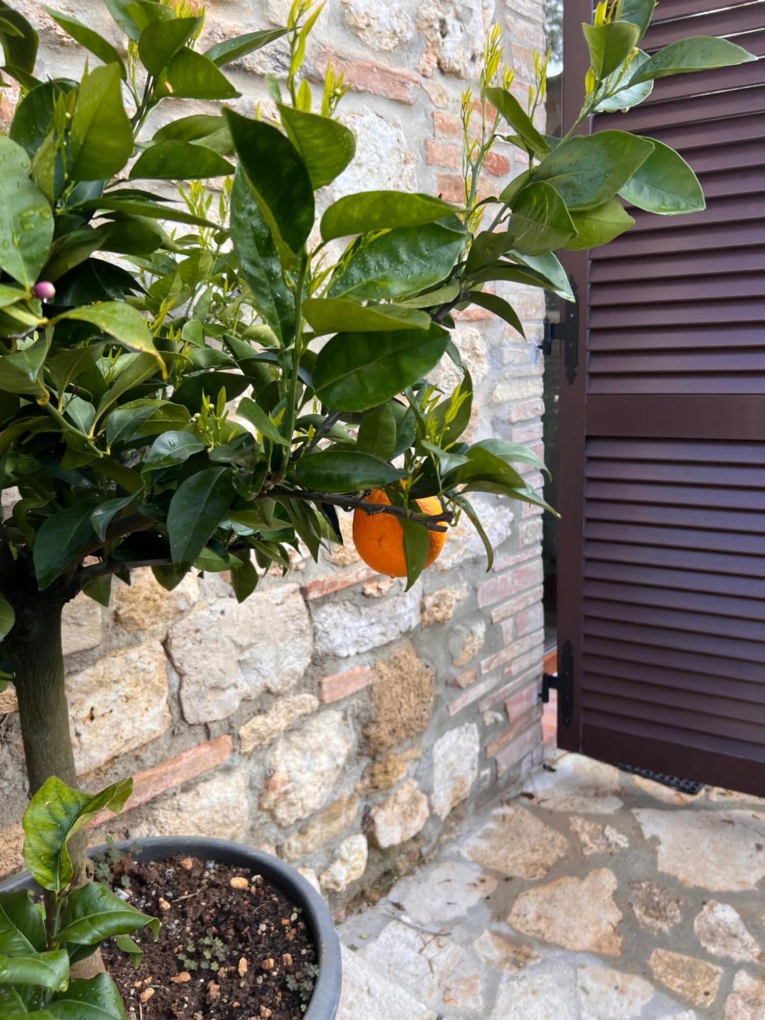 سان جيمينيانو Bed & Breakfast Casale Gregoriano And Apartaments المظهر الخارجي الصورة