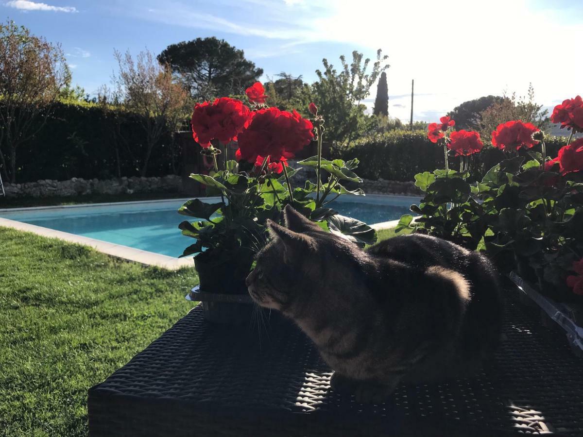سان جيمينيانو Bed & Breakfast Casale Gregoriano And Apartaments المظهر الخارجي الصورة